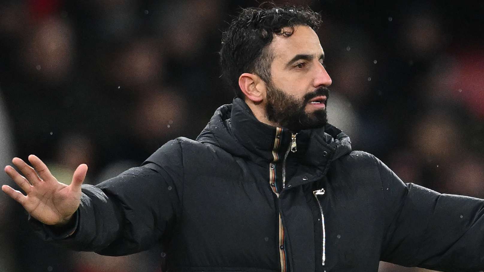 系统的身体 系统的身体