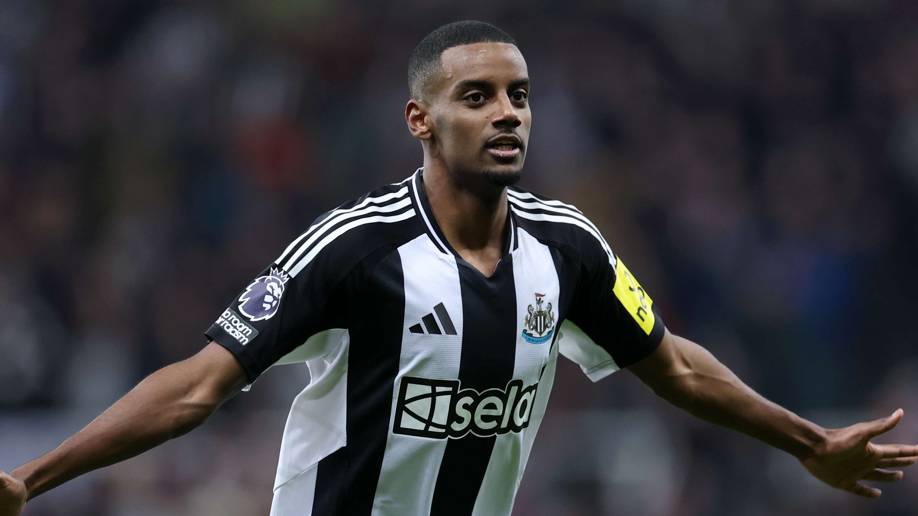 更是整个团 更是整个团