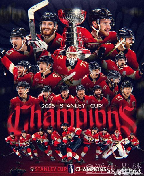 “佛罗里达美洲豹5-2战胜埃德蒙顿油人：总决赛第五场集锦”